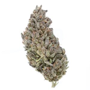 Premium CBD Flower – High-Quality CBD Strains and Terpenes for Optimal Results.