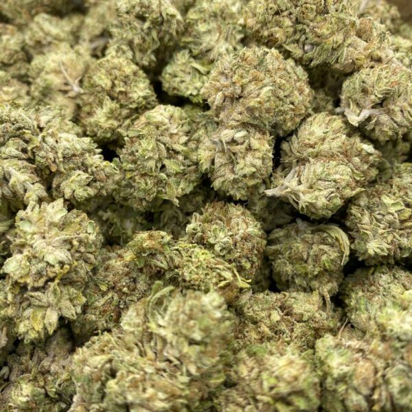 CBG Flower – The White Machine Trimmed